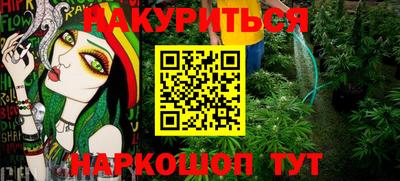 индика Партизанск