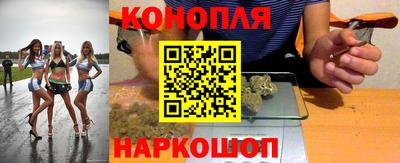 индика Партизанск