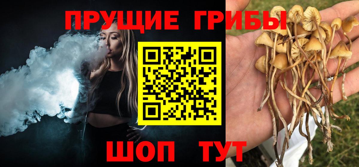 Псилоцибиновые грибы прущие грибы Туапсе